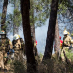 Sul Informação - Bombeiros e helicóptero dominam incêndio em Gambelas [com fotos]