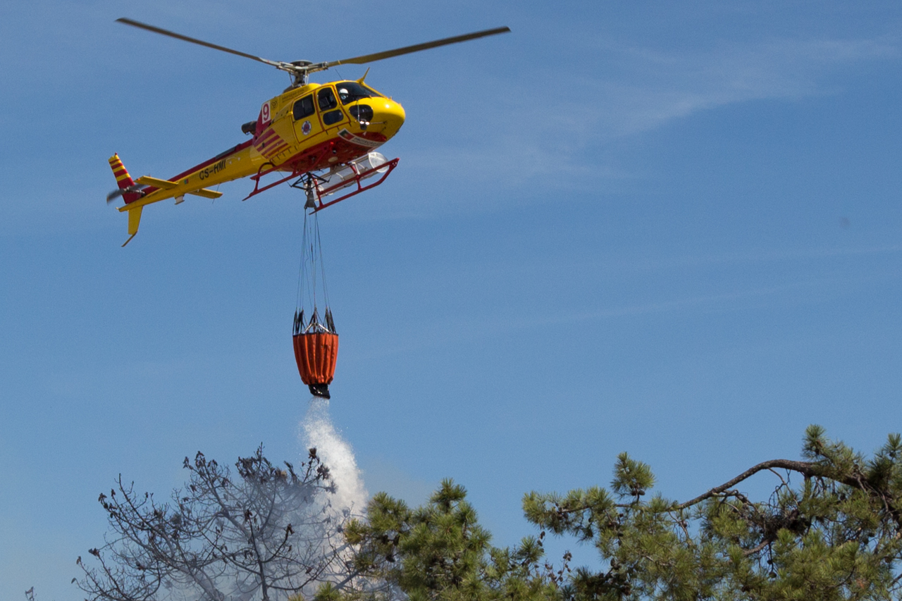 Sul Informação - Bombeiros e helicóptero dominam incêndio em Gambelas [com fotos]