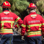 Sul Informação - Bombeiros e helicóptero dominam incêndio em Gambelas [com fotos]