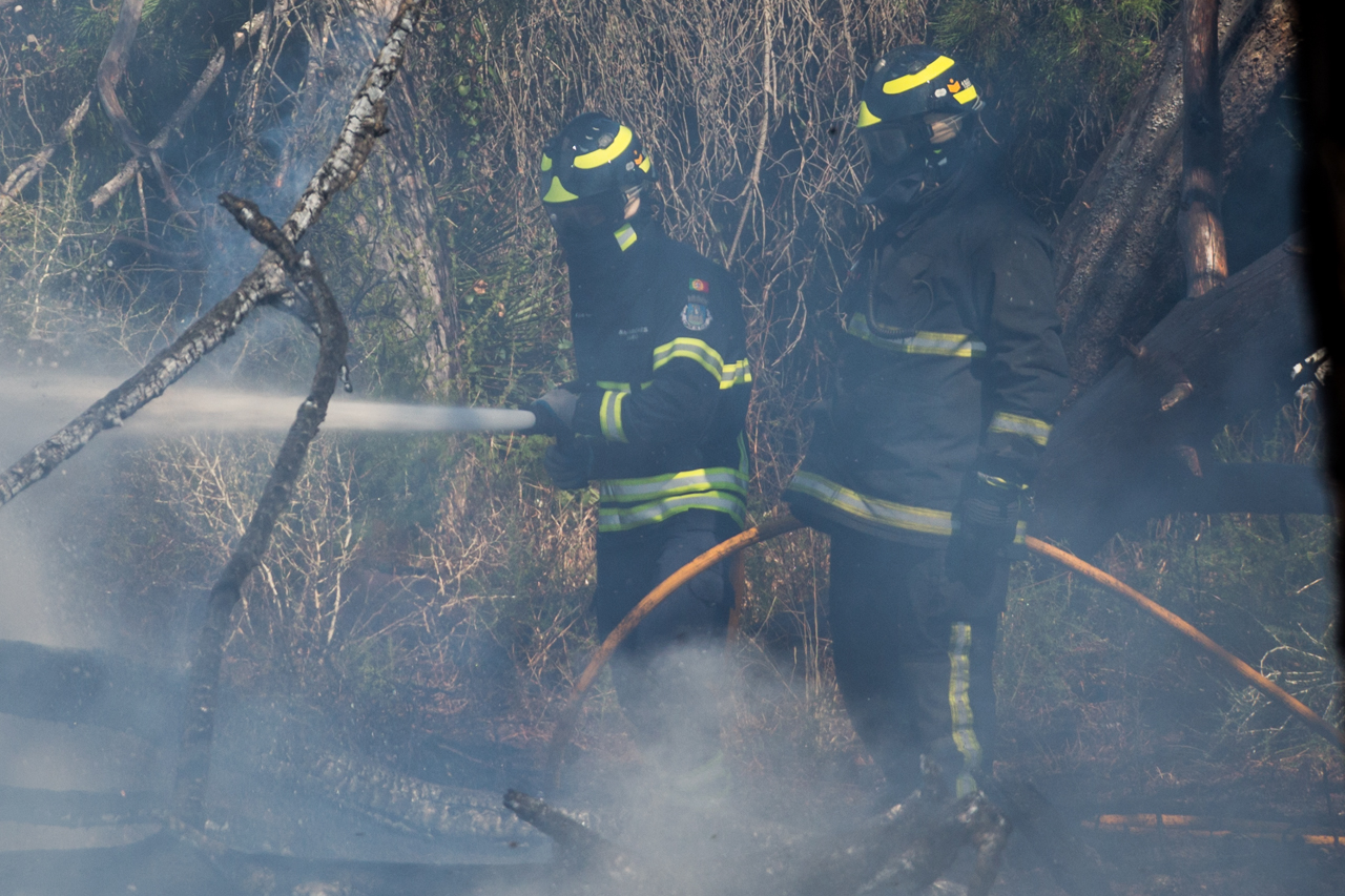 Sul Informação - Bombeiros e helicóptero dominam incêndio em Gambelas [com fotos]