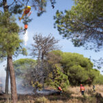 Sul Informação - Bombeiros e helicóptero dominam incêndio em Gambelas [com fotos]