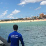 Sul Informação - Tartaruga presa em artes de pesca foi resgatada na Meia Praia