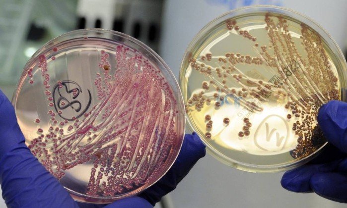 Sul Informação - Resistência a antibióticos é uma ameaça global à saúde pública