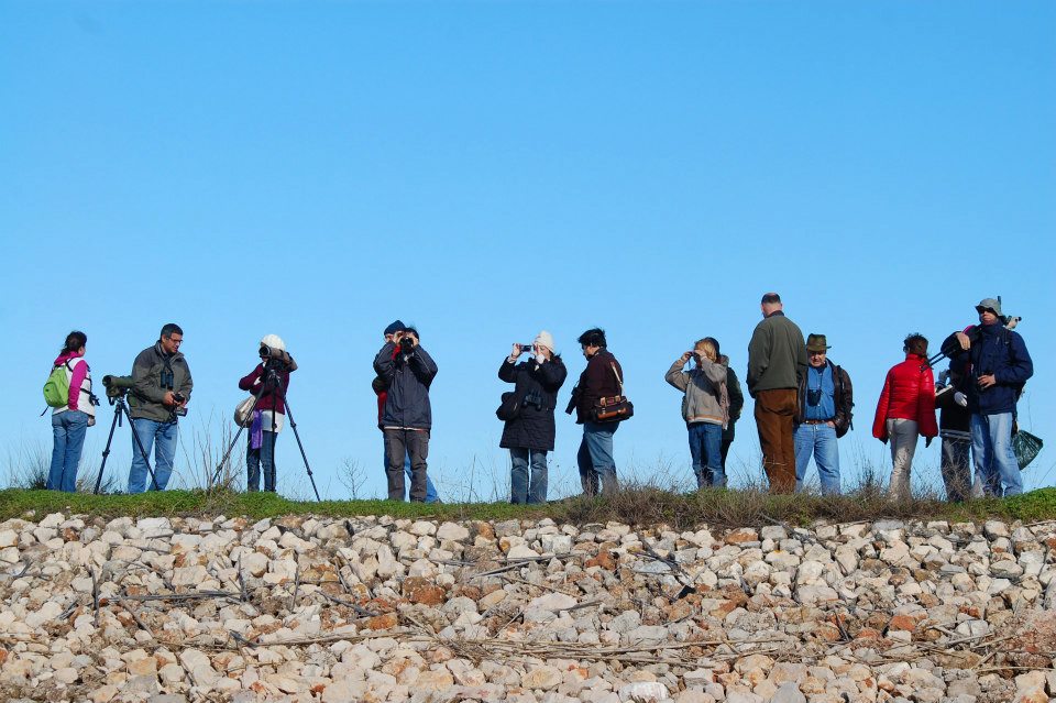Sul Informação - Vão (re)começar os Passeios de Natureza da LPN/Algarve
