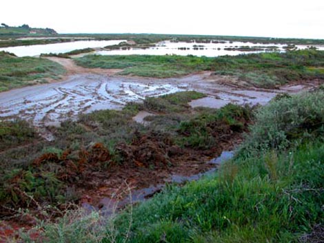 ria de alvor_obras Sul Informação
