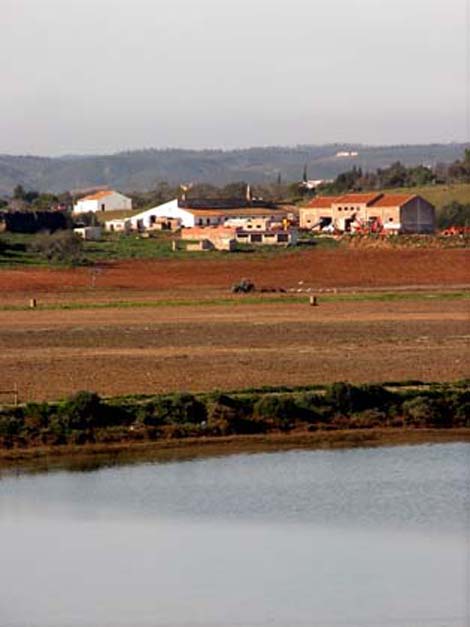 ria de alvor_obras2 Sul Informação
