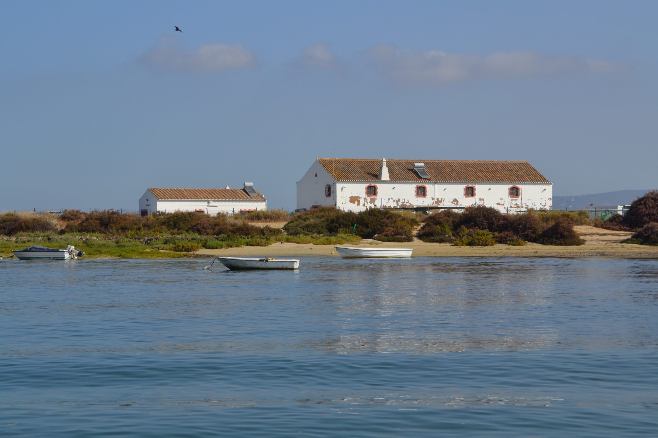 Sul Informação - Preparem os coletes: Ria Formosa recebe lançamento do Ciência Viva no Verão… de caiaque e barco solar