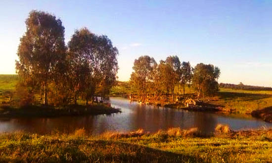 ribeira de cobres