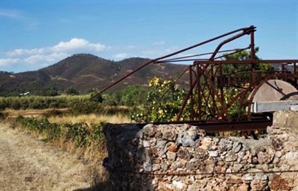 Sul Informação - Passeio pela Ribeira de Salir dá a conhecer agricultura e o mundo rural
