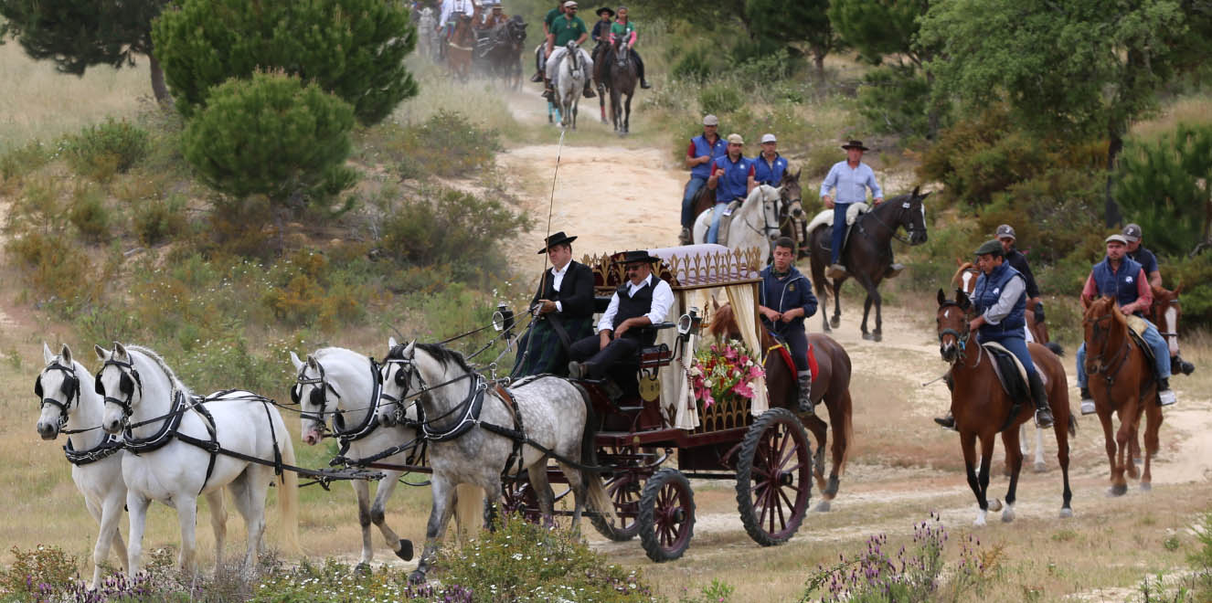 Sul Informação - Romaria a cavalo volta a ligar Moita a Viana do Alentejo, aliando fé e convívio