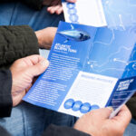 Sul Informação - Atum ajuda a “pescar” turistas no Algarve