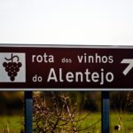 Sul Informação - Vindimas já começaram e há muito para explorar no Alentejo