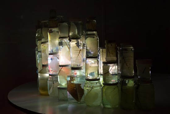 Sul Informação - “Sul-Sal” mostra arte experimental em Odemira
