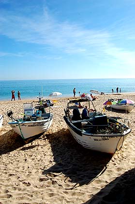 Sul Informação - Bloco de Esquerda apresenta Projeto de Lei para venda direta de pescado
