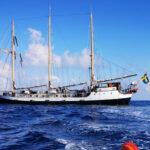 Sul Informação - Jovem marinheira sueca resgatada de navio-escola ao largo de Portimão