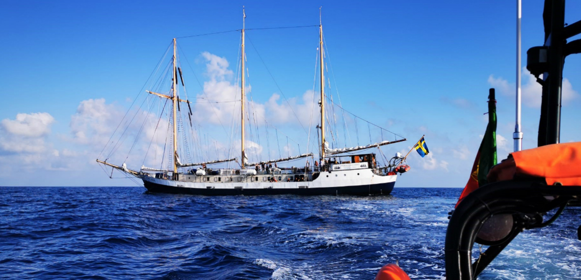 Sul Informação - Jovem marinheira sueca resgatada de navio-escola ao largo de Portimão