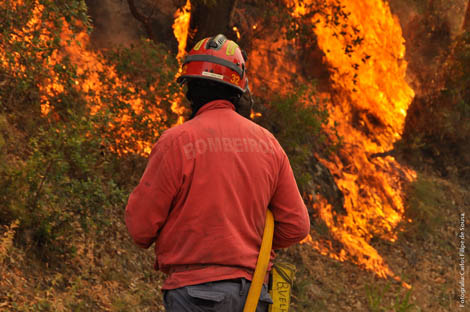 Sul Informação - Previsões meteorológicas dão esperança no combate aos fogos no Algarve
