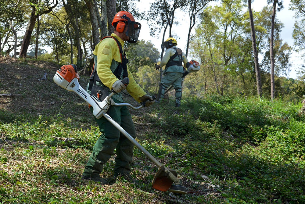Sul Informação - Associação de Municípios Terras do Infante abre concurso para admitir seis sapadores florestais