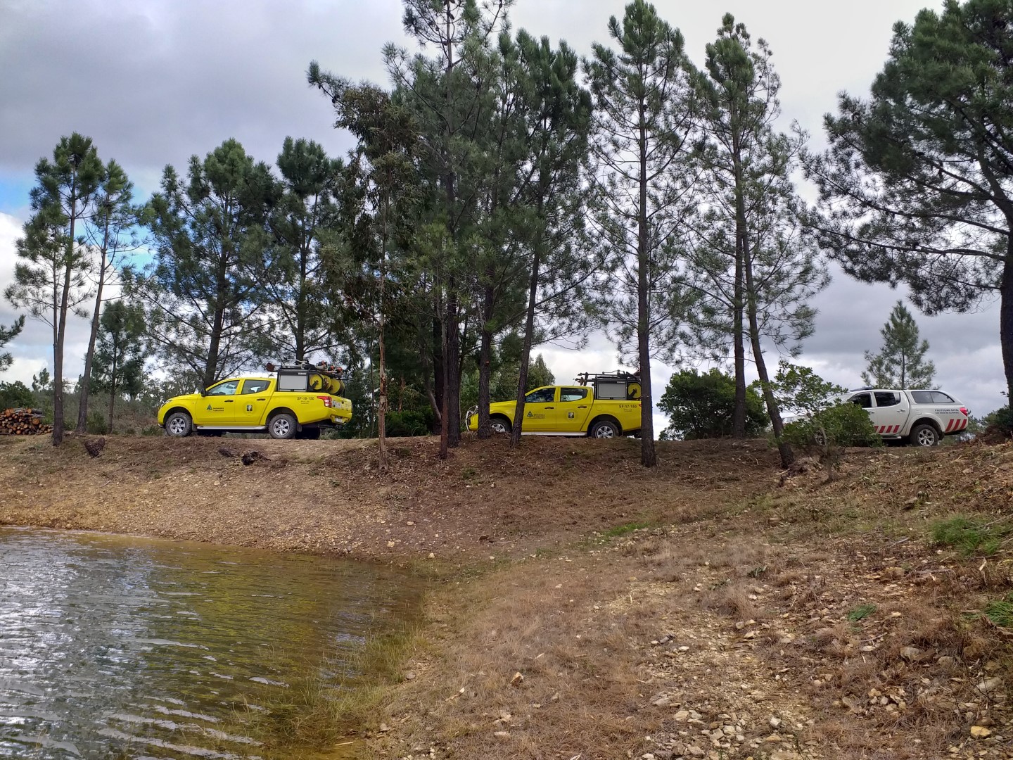 Sul Informação - Brigada de Sapadores Florestais da AMAL fez trabalhos de silvicultura em São Brás de Alportel