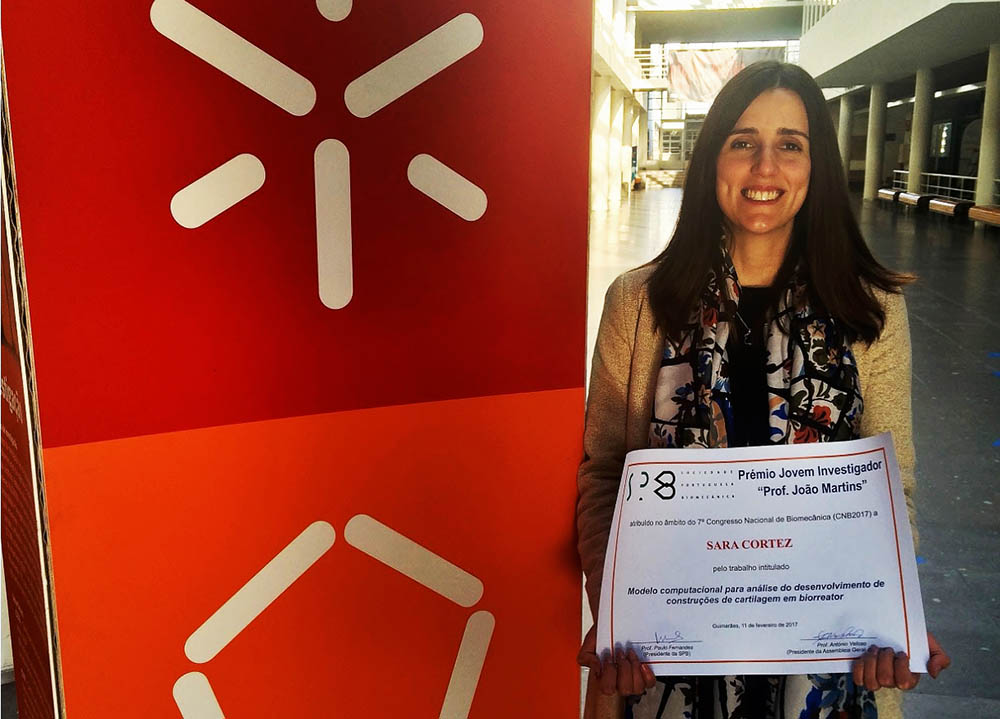 Sul Informação - Cientista portuguesa desenvolve implantes inovadores para doentes com artrose