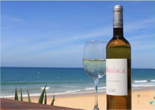Sul Informação - Vinho algarvio brilha em concurso internacional da casta “sauvignon”