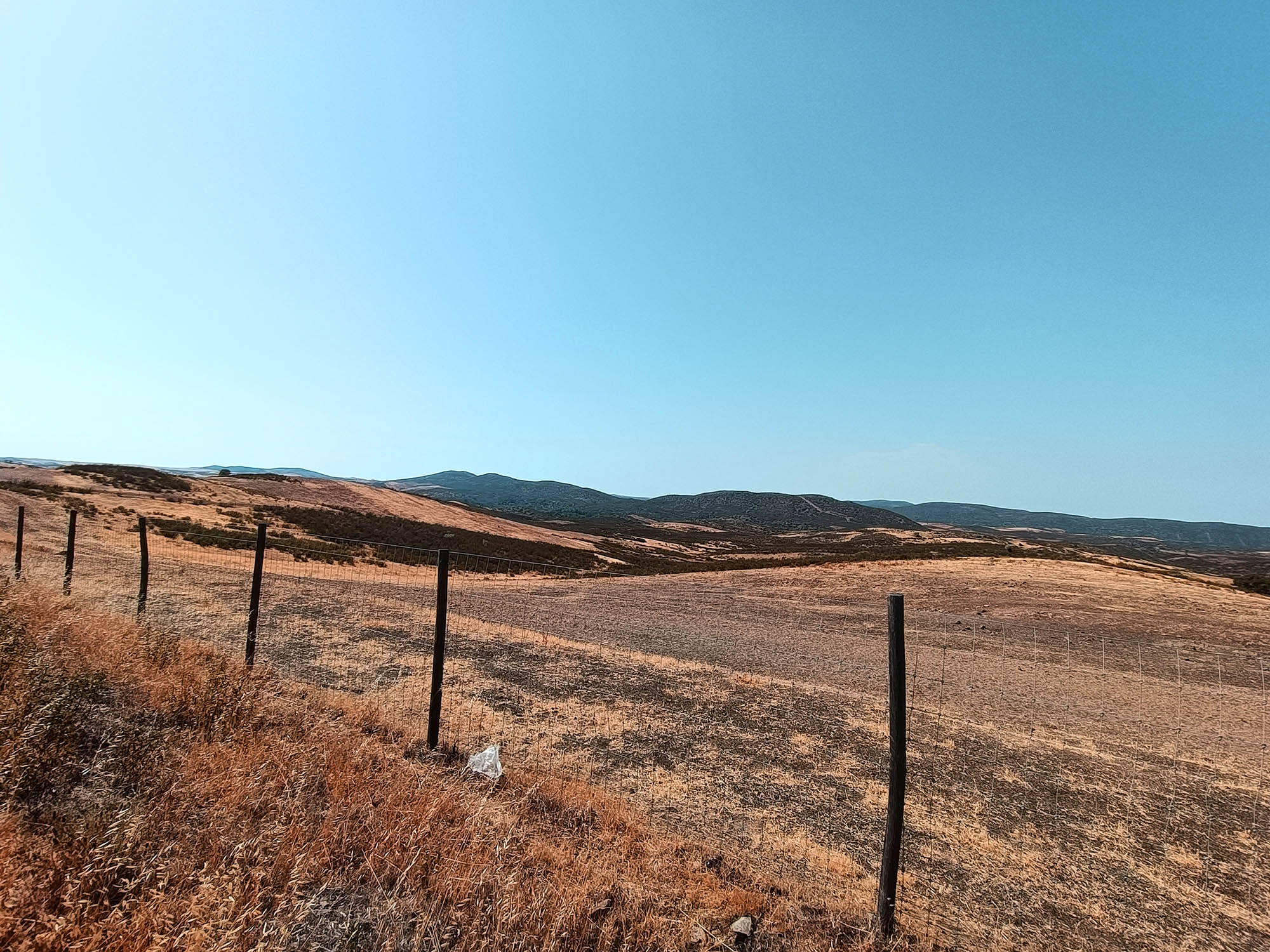Sul Informação - Como pode o Baixo Alentejo preparar-se para enfrentar fenómenos adversos?