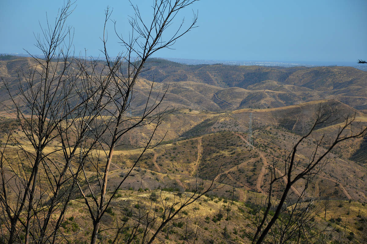 Sul Informação - Algarve e Alentejo em Alerta Laranja por causa do perigo de incêndio