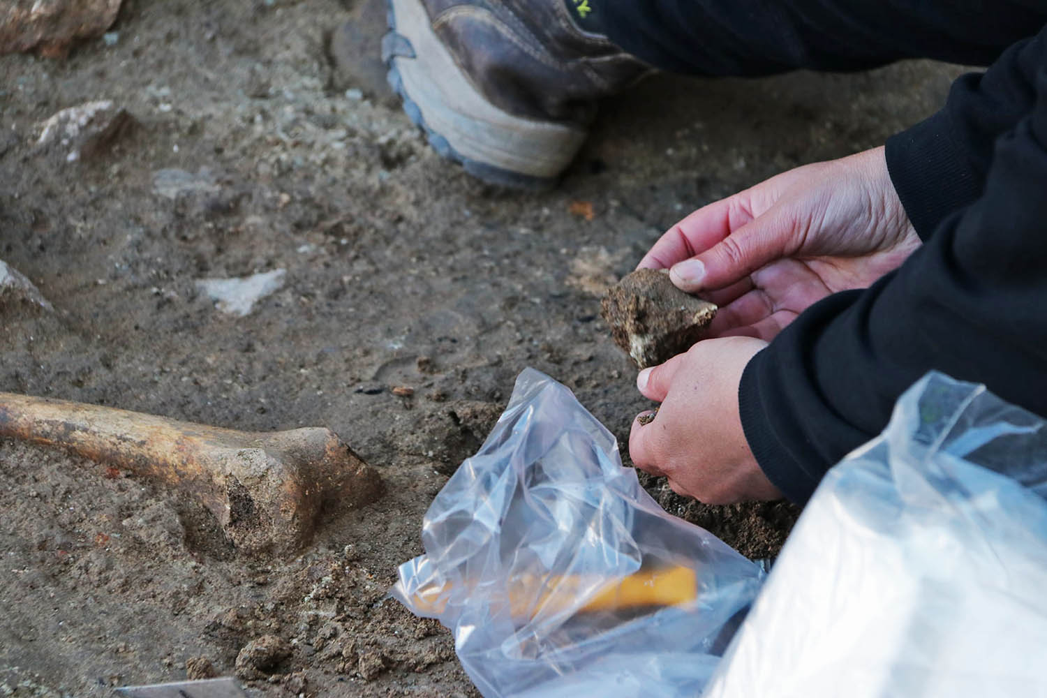 Sul Informação - Esqueleto da época romana encontrado numa praça de Serpa durante obras
