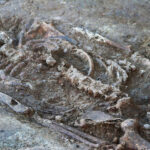 Sul Informação - Esqueleto da época romana encontrado numa praça de Serpa durante obras