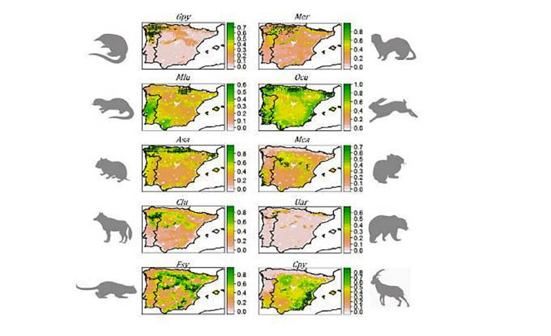 Sul Informação - Investigador da Universidade de Évora propõe nova visão para a proteção da biodiversidade