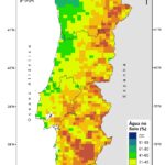 Sul Informação - Choveu um quarto do normal na primeira quinzena de Novembro