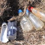 Sul Informação - Da palhinha entalada no nariz de uma tartaruga nasceu um projeto ambiental vencedor