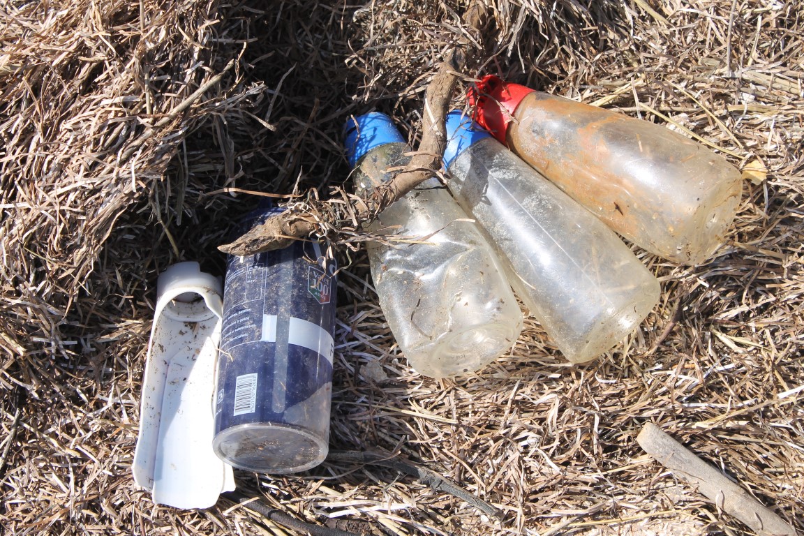 Sul Informação - Da palhinha entalada no nariz de uma tartaruga nasceu um projeto ambiental vencedor