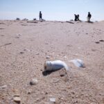 Sul Informação - 190 voluntários recolheram 1400 quilos de lixo na Ilha Deserta