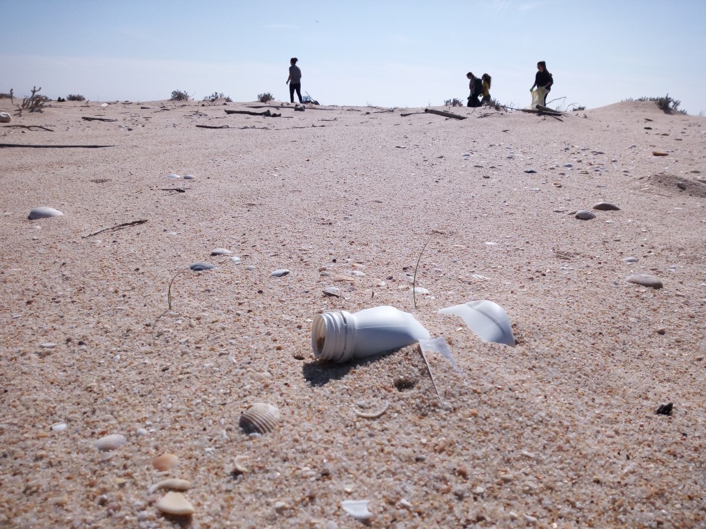 Sul Informação - 190 voluntários recolheram 1400 quilos de lixo na Ilha Deserta