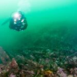 Sul Informação - Afundamentos do submarino alemão U-35 ao largo de Sagres recordados 100 anos depois