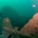 Sul Informação - Afundamentos do submarino alemão U-35 ao largo de Sagres recordados 100 anos depois