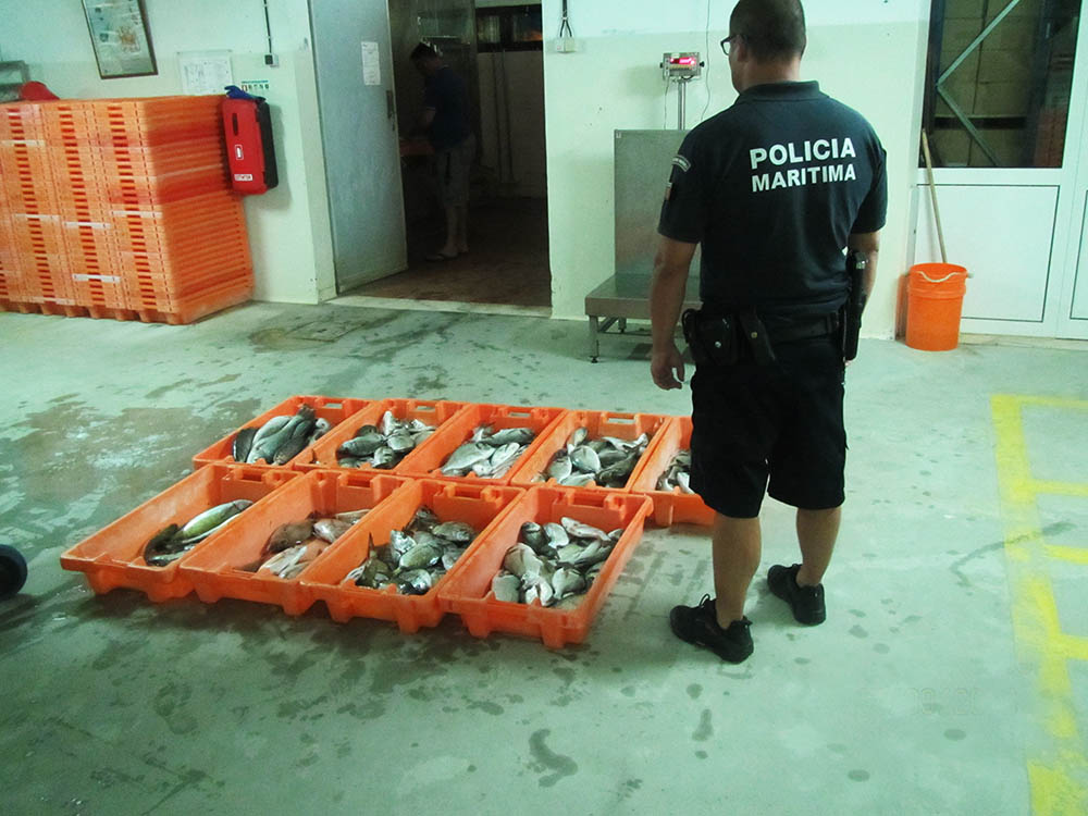 tavira fuga a lota2