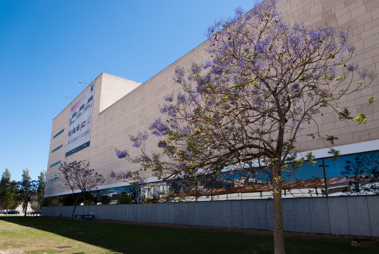 Sul Informação - Faro comemora 47º aniversário do 25 de Abril com sessão solene no Teatro das Figuras