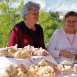 Sul Informação - Feira do Campo voltou a explorar segredos da serra algarvia nas Furnazinhas