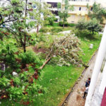 Sul Informação - Tornado derruba árvores, destelha casas e destrói carros em Beja