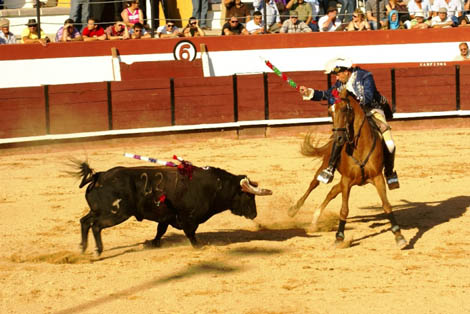 Sul Informação - Câmara de Beja declara a Tauromaquia como “Património Cultural Imaterial de Interesse Municipal”