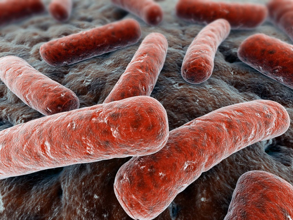 Sul Informação - Casos de tuberculose por 100 mil habitantes diminuíram, mas o diagnóstico ainda é tardio