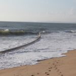 Sul Informação - Tubo de mais de 500 metros deu à costa na Praia do Trafal em Quarteira