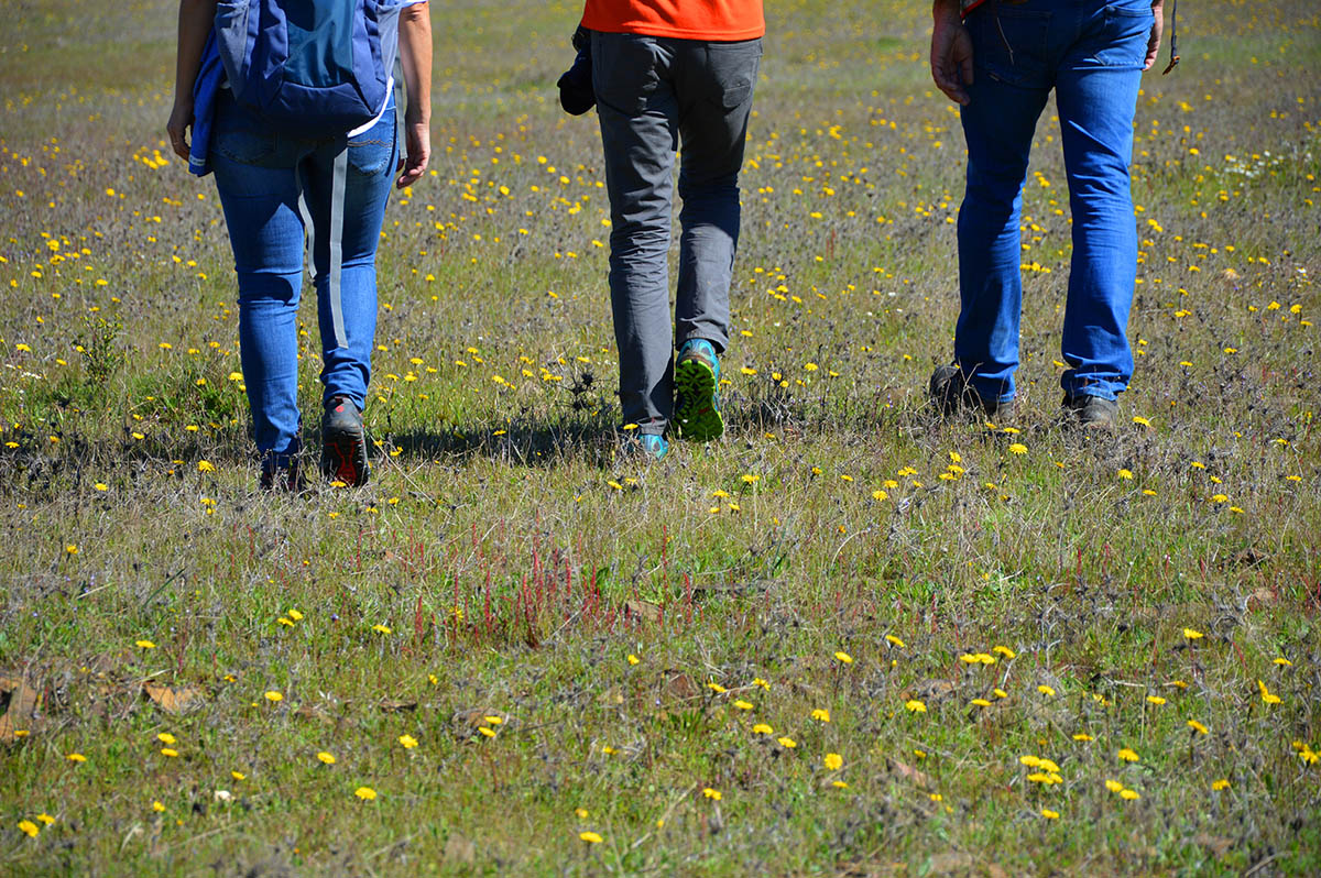Sul Informação - Olhão recebe novo Algarve Nature Fest só com atividades gratuitas
