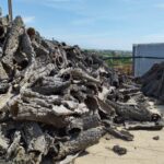 Sul Informação - Vamos à descoberta do turismo industrial do Algarve?