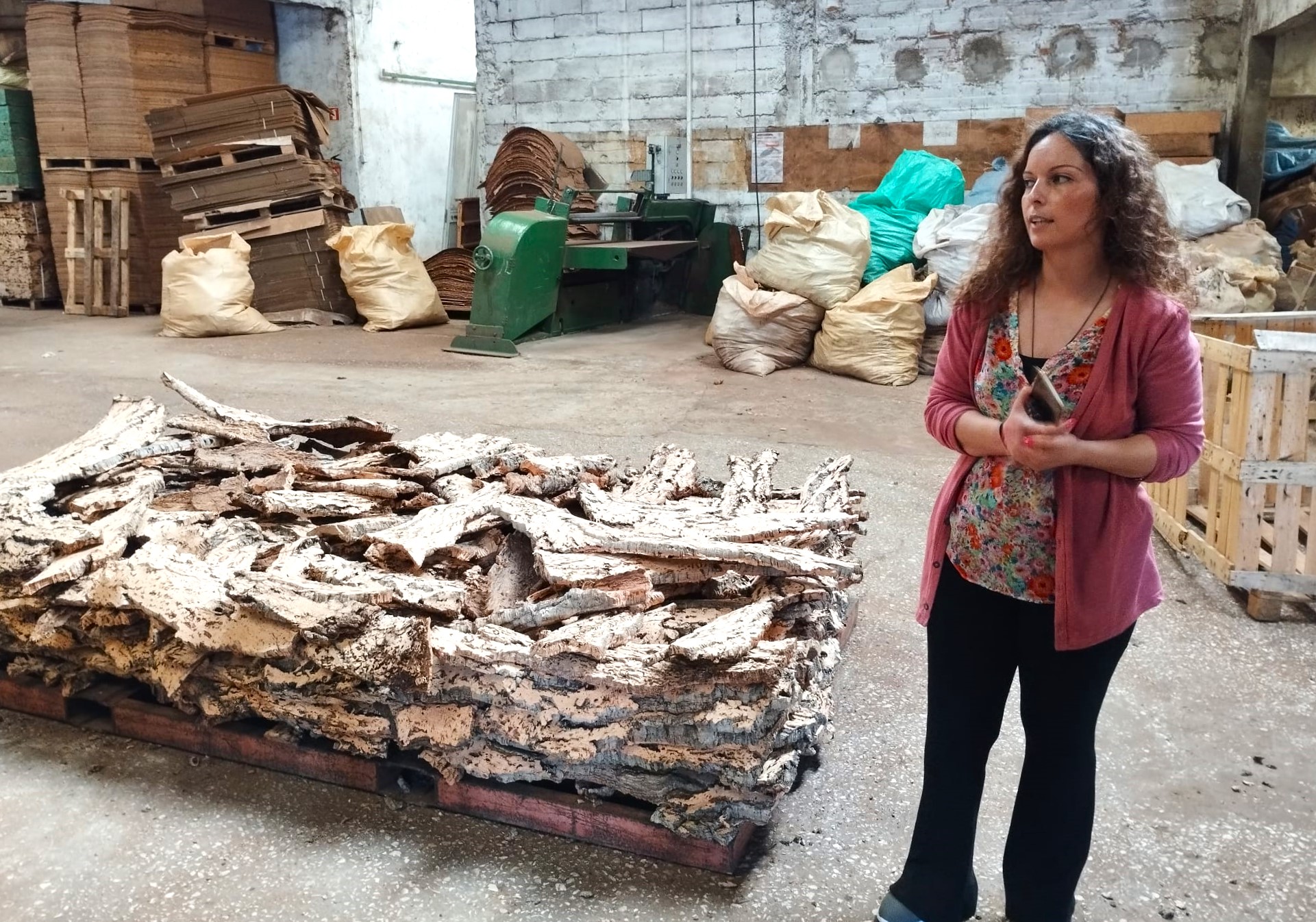 Sul Informação - Vamos à descoberta do turismo industrial do Algarve?