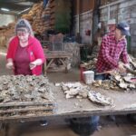 Sul Informação - Vamos à descoberta do turismo industrial do Algarve?