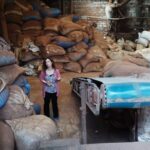 Sul Informação - Vamos à descoberta do turismo industrial do Algarve?