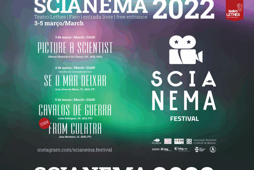 Sul Informação